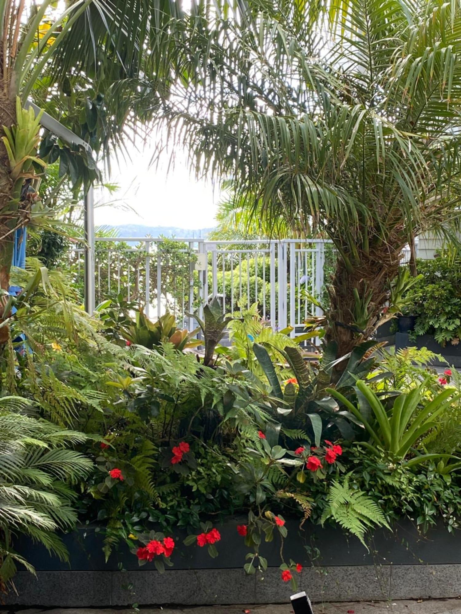 Apartament By The Sea Paihia Zewnętrze zdjęcie